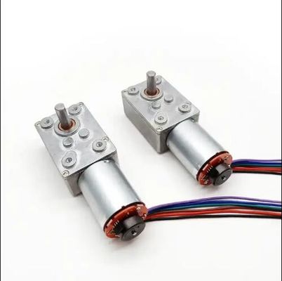 Μεγάλη ροπή DC Worm Gear Motor χαμηλής ταχύτητας Power Off Self Locking Motor με κωδικοποιητή