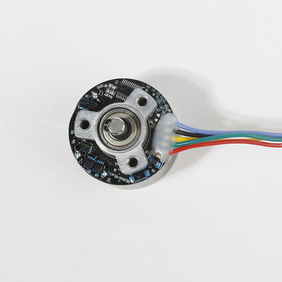 38mm χαμηλός θόρυβος 12V brushless κινητήρας συνεχούς ρεύματος υψηλής ροπής για το όπλο μασάζ